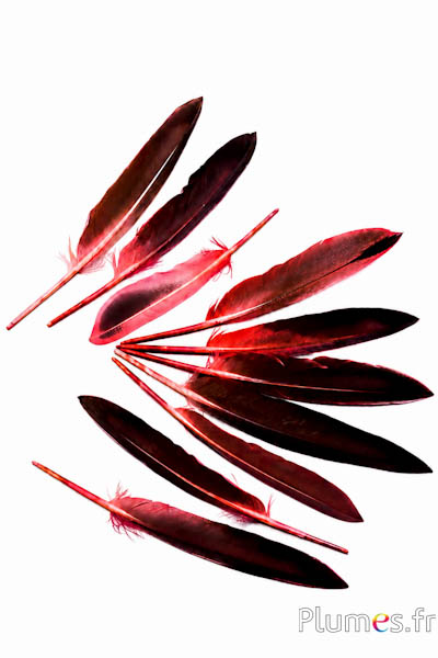 Gans - 12-18 cm - lachs rosa-kaffee